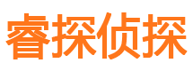 池州调查公司